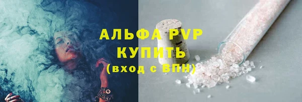 сатива Нязепетровск