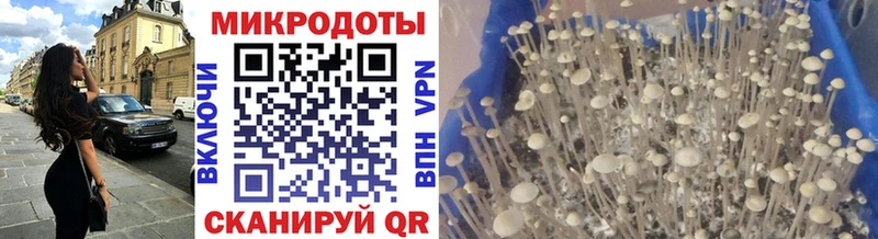 Галлюциногенные грибы прущие грибы  дарнет шоп  Щучье 